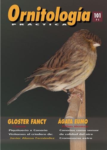 Revista Práctica Nº101