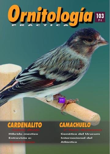 Revista Práctica Nº103