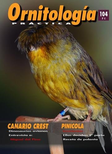 Revista Práctica Nº104