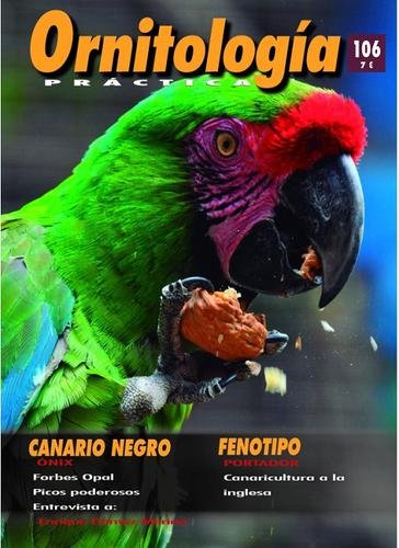 Revista Práctica Nº106