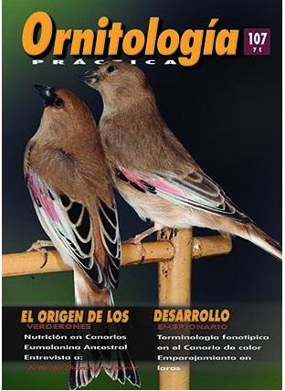 Revista Práctica Nº107