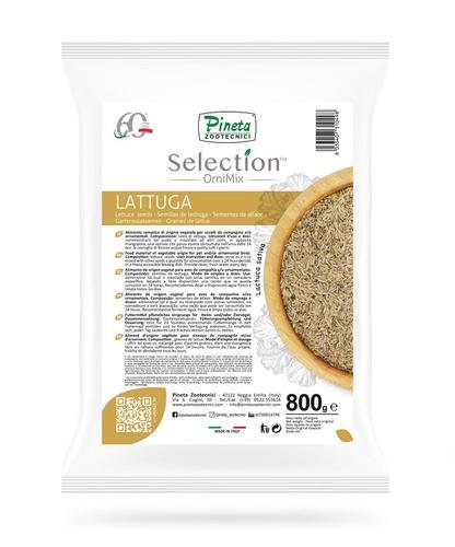Semilla de Lechuga Blanca 800gr (Pineta)