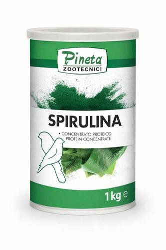 Spirulina 1kg Pineta