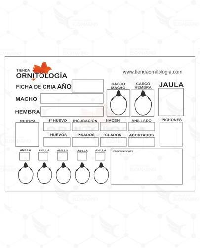 Tarjeta Cría 4 Nidadas – Especial Lizard