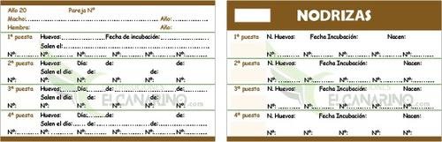 Tarjeta Cría 4 Nidadas + Nodrizas 11,5cm x 8cm