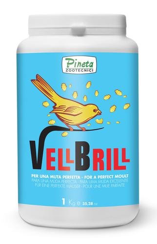 Vell Brill 1kg (Muda – Plumaje sin dore)