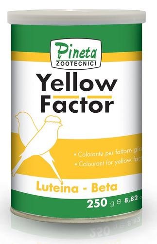 Yellow Factor + Protector 250gr (Pigmentación Profesional Amarillo)